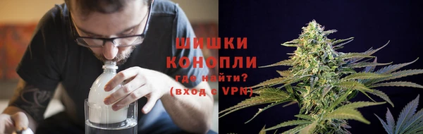 спиды Богородицк