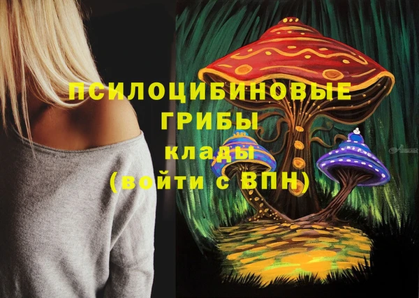 спиды Богородицк
