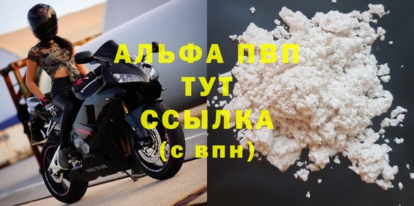 ешки Богданович