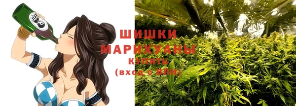 спиды Богородицк