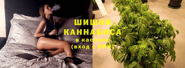 дурь Арсеньев