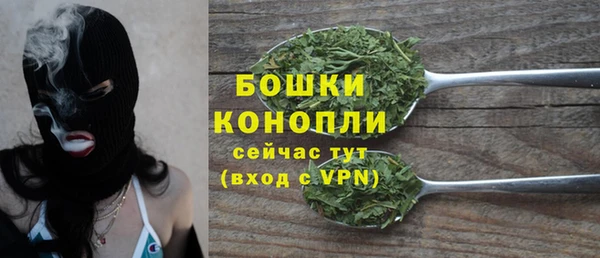 спиды Богородск