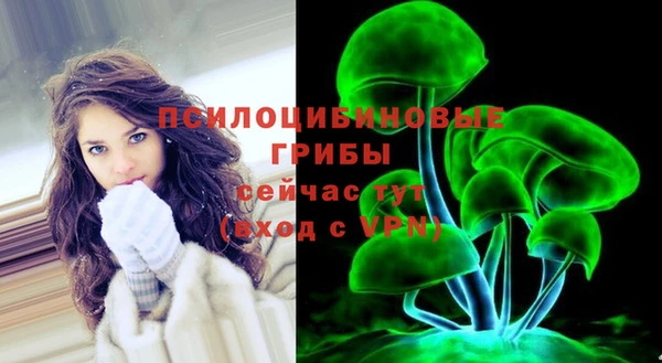 мяу мяу мука Дмитриев