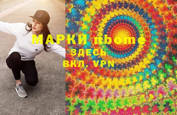 спиды Богородицк