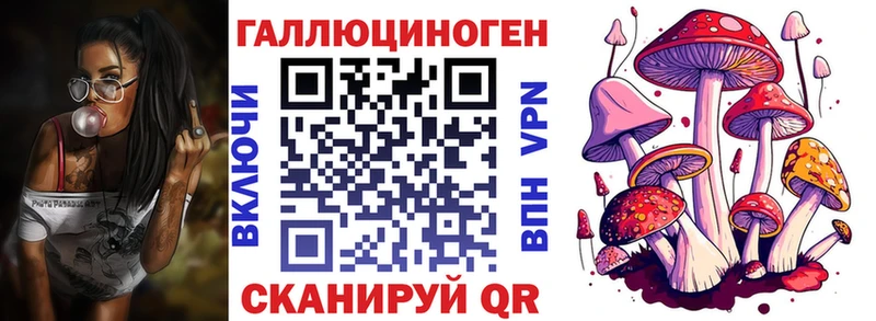 Галлюциногенные грибы Psilocybine cubensis  blacksprut маркетплейс  Судак  где продают наркотики 